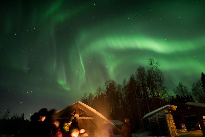 Rovaniemi AURORA PASS: 3-5 Days Unlimited Northern Lights chasing Pass - Where It Starts in Rovaniemi, and How the 8:30 pm Rhythm Fits Your Night