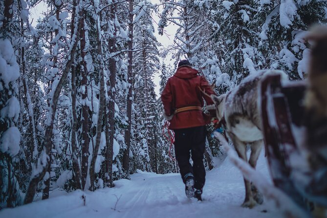 Rovaniemi: Authentic Lapland Reindeer Farm Visit & Sled Ride - The 9:00 AM Start, Pickup, and Cold Weather Reality Check