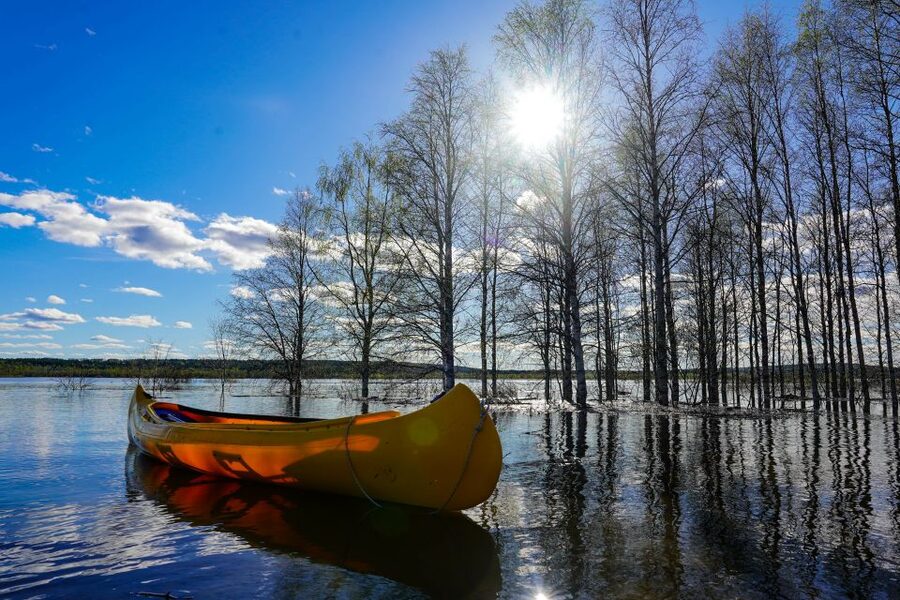 Rovaniemi: Authentic Reindeer Farm & Canoeing - Group size, timing, and pickup details that can make or break your day