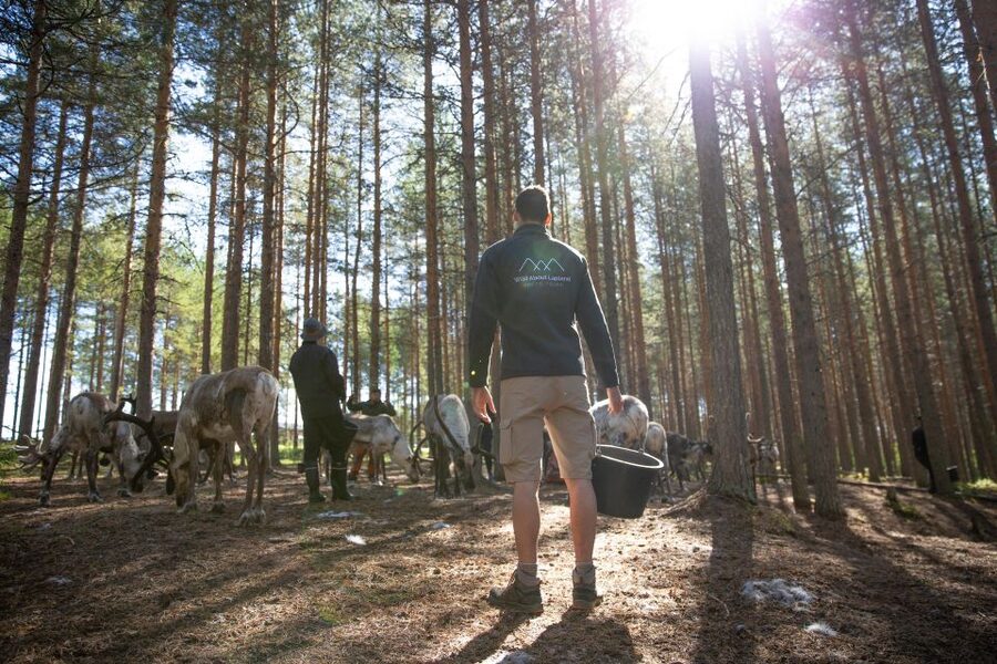 Rovaniemi: Authentic Reindeer Farm & Canoeing - What to wear in Lapland for reindeer feeding and canoeing