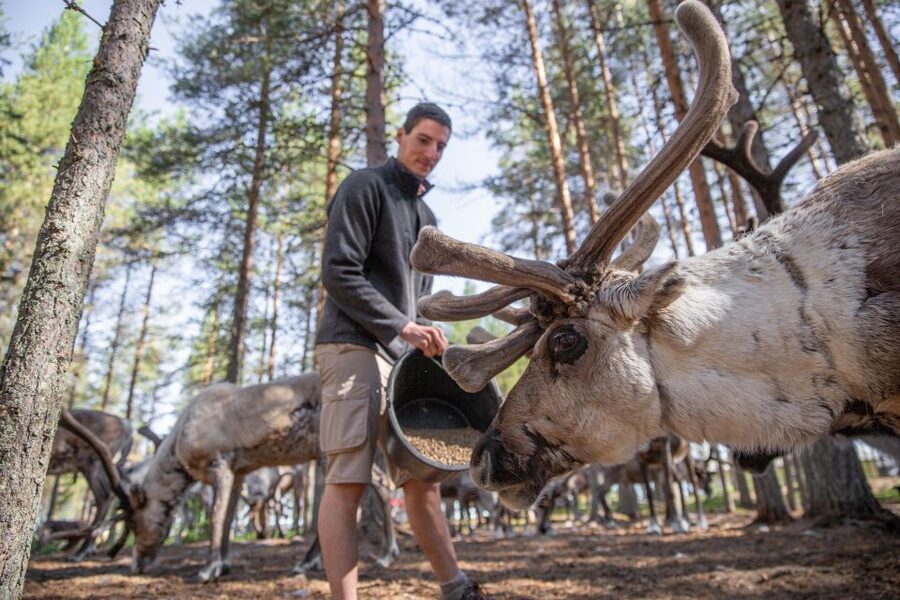 Rovaniemi: Authentic Reindeer Farm & Canoeing - Who should book, and who might not love it
