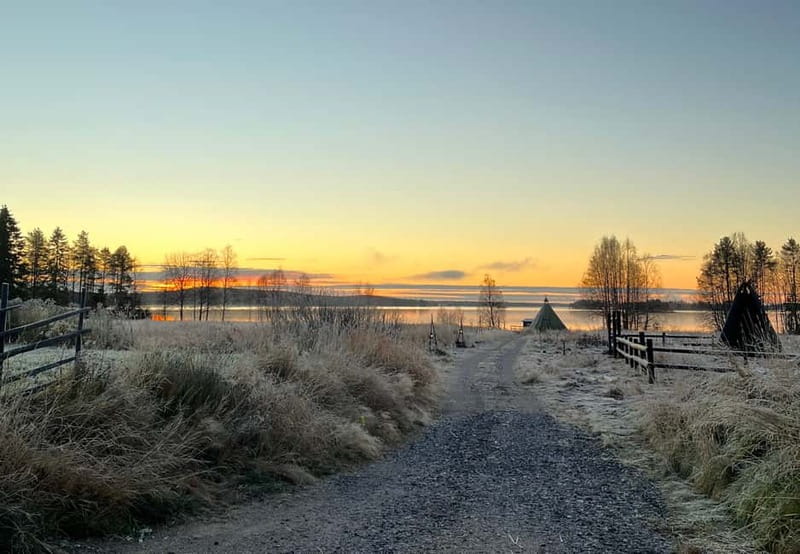 Rovaniemi: Autumn Husky Ride on Wheels - Why Husky Carts Feel Different From the Classic Sleigh