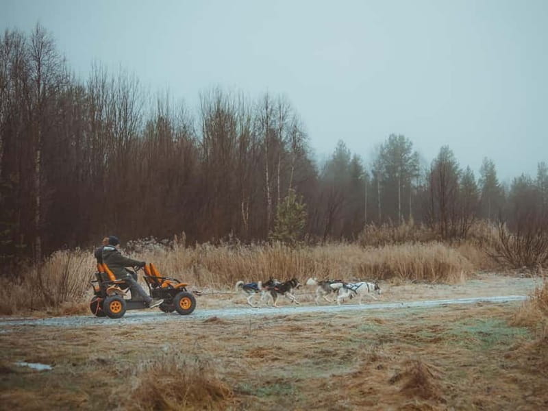 Rovaniemi: Autumn Husky Ride on Wheels - Your 3 km Cart Ride: How the Team Pulls and How You Help Guide