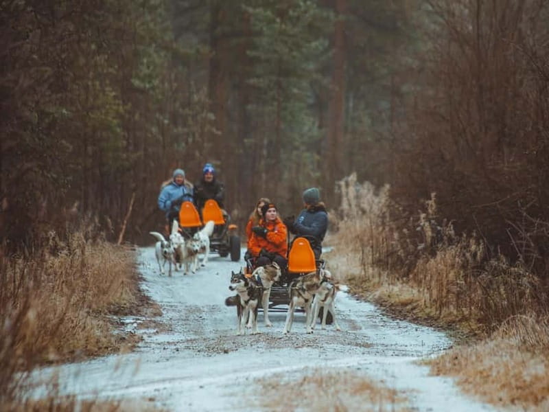 Rovaniemi: Autumn Husky Ride on Wheels - The Autumn Setting: Seeing Lapland Shift Toward Winter