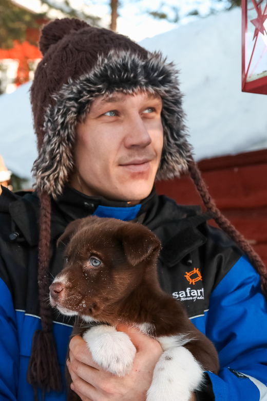 Rovaniemi: Daytime Husky Safari - Key things you will remember from this husky safari