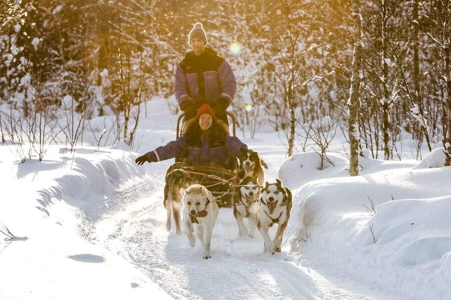 Rovaniemi: Daytime Husky Safari - From kennel to sled, this is a hands-on mushing lesson