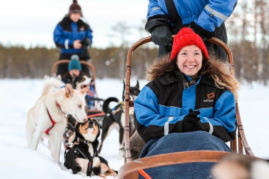 Rovaniemi: Daytime Husky Safari - Price and value: what $209 buys you in real time