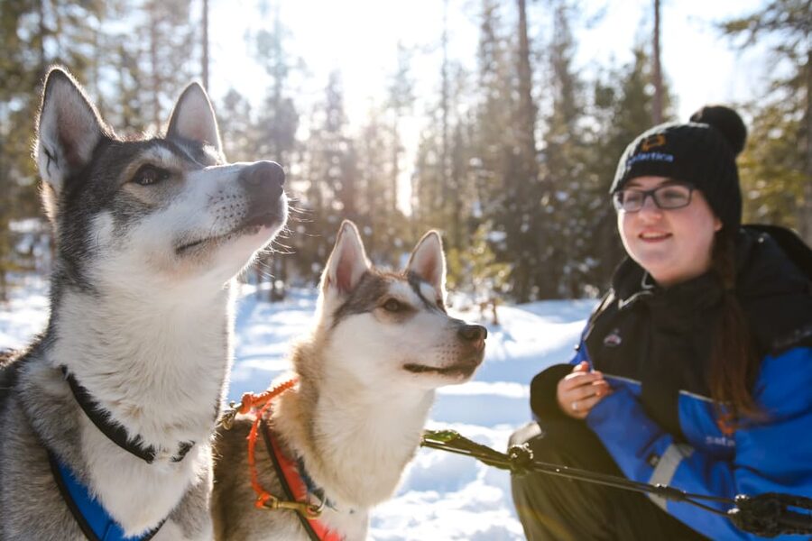 Rovaniemi: Daytime Husky Safari - Getting ready in Rovaniemi: winter gear and transfers that matter
