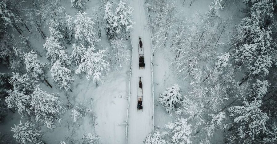 Rovaniemi: Daytime Reindeer Sleigh Ride - The 1.5 km Sleigh Ride Through the Snowy Forest