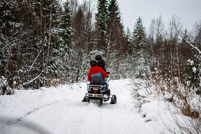 Rovaniemi: Drive New 2025 Snowmobiles on Arctic Safari & BBQ - Arctic Safari Highlights in 6 Quick Points