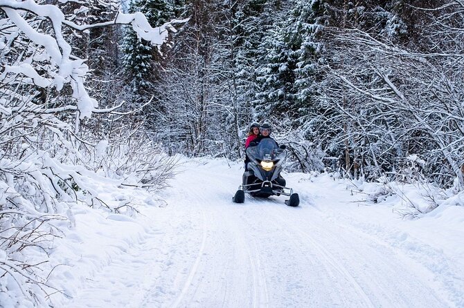 Rovaniemi: Drive New 2025 Snowmobiles on Arctic Safari & BBQ - Who This Tour Fits Best (And Who Might Want Another Option)