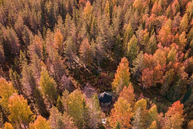 Rovaniemi: Drive Your Own Husky Team (Autumn) & BBQ - Getting to the farm: pickup timing that actually matters