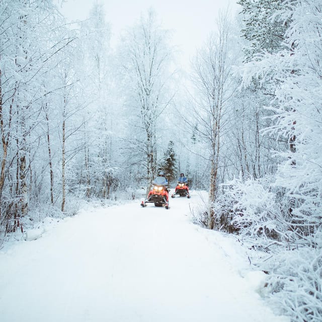 Rovaniemi: Early Winter 2 Hour Snowmobile Safari - The 2-hour guided snowmobile ride, with real snowy time