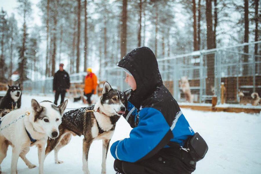 Rovaniemi: Early Winter Husky Sled Ride - Why Early Winter Husky Runs Feel Different in Rovaniemi