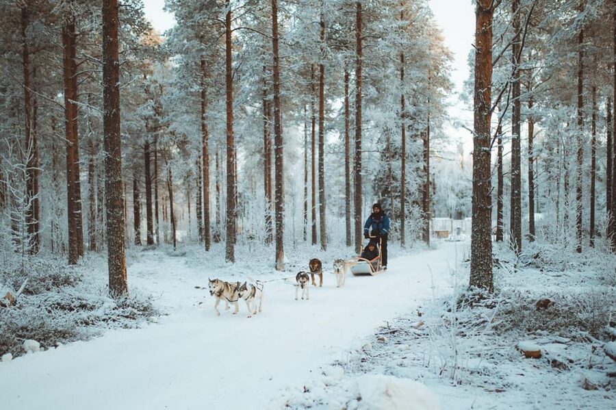 Rovaniemi: Early Winter Husky Sled Ride - Price and Value: Is $192 Reasonable for This 1.5-Hour Husky Experience?