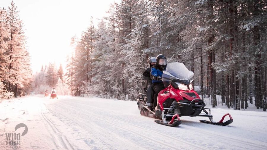 Rovaniemi: Easy Snowmobile Safari - Price and value at about $116 per person