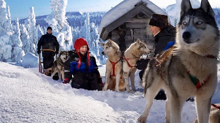 Rovaniemi: Family Friendly Husky Ride and Farm Visit - Husky Time in Rovaniemi: What Makes This One Work