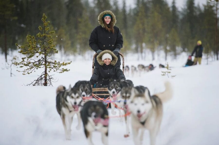 Rovaniemi: Family Friendly Husky Ride and Farm Visit - Price and Value: Is $128 Worth It?