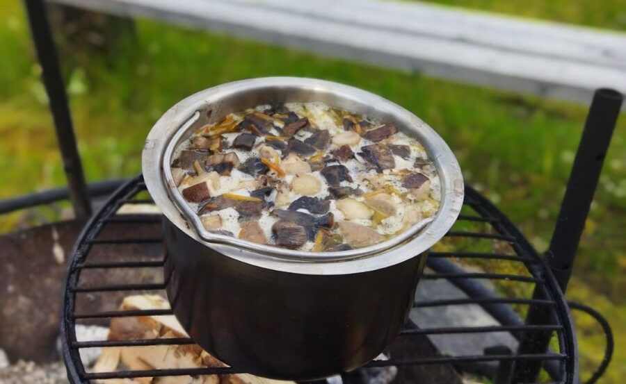Rovaniemi forest foraging adventure: Pick, Prepare, Savor - Key things I’d circle before you go
