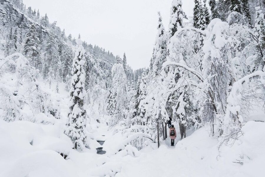 Rovaniemi: Frozen Waterfalls of Korouoma Canyon & Pro Photos - The 5 km Frozen Waterfall Hike: What You Will Walk, and What You Will See