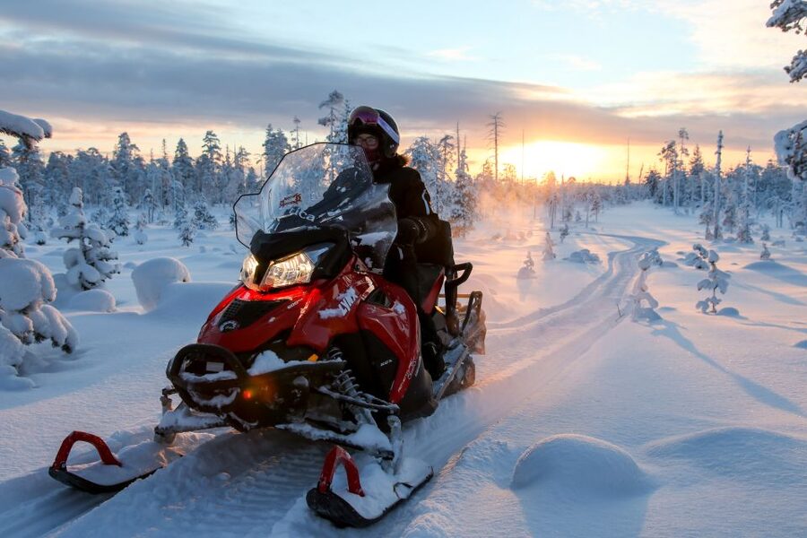 Rovaniemi: Full-Day Snowmobile Safari into the Wilderness - License, Insurance, and Safety Rules You Should Know Before You Ride