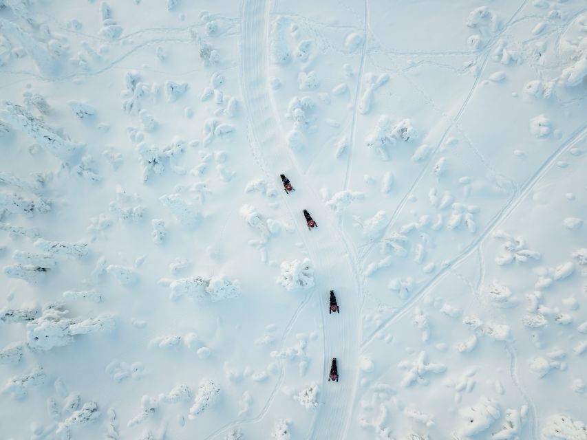 Rovaniemi: Full-Day Snowmobile Safari into the Wilderness - The 6-Hour Plan, What Fills the Time, and What Might Slow You Down