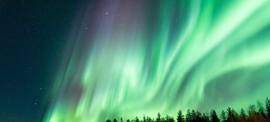 Rovaniemi: Guaranteed Aurora Hunting Tour with Local Guide - Cold-night limits: who this tour fits best