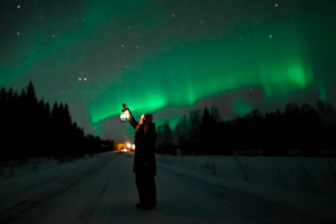 Rovaniemi: Guaranteed Northern Lights - Small Group & Photography - The Sweden backup plan: when clouds kill the plan in Finland
