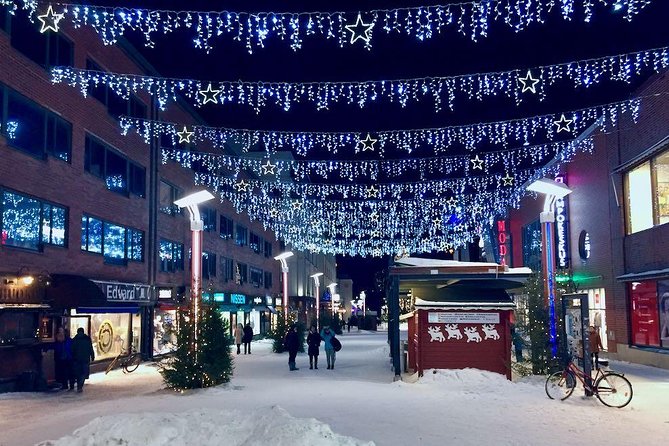 Rovaniemi Guided Tour and Santa Claus Village - Who should book this Rovaniemi tour, and who should skip it