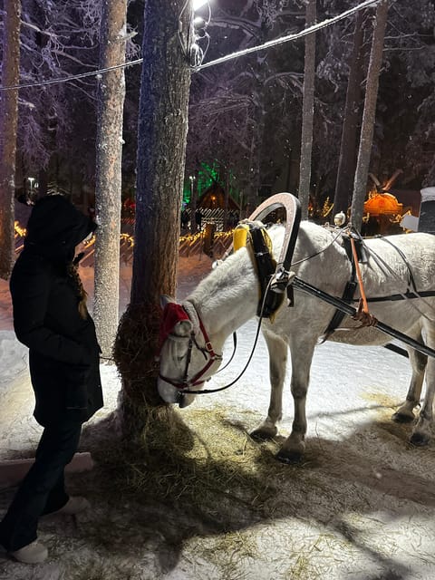 Rovaniemi: Guided Tour of Santa Claus Village - Where you start at the Arctic Circle Information hall