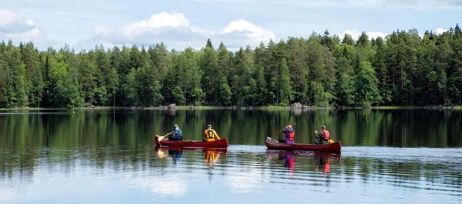 Rovaniemi: Guided Wilderness Kayaking Adventure - Quick Hit Key Points Before You Go