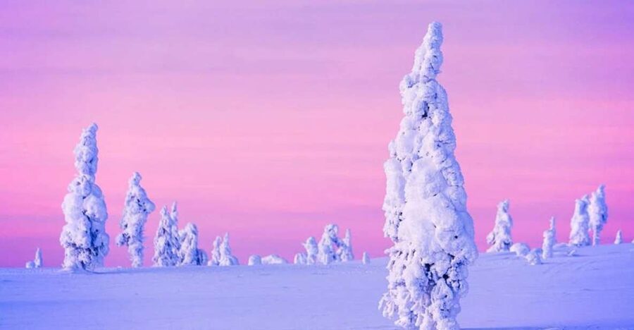 Rovaniemi: Half-Day Snowmobile & Ice Fishing Experience - How the 4.5 hours really works: pacing that keeps you from rushing
