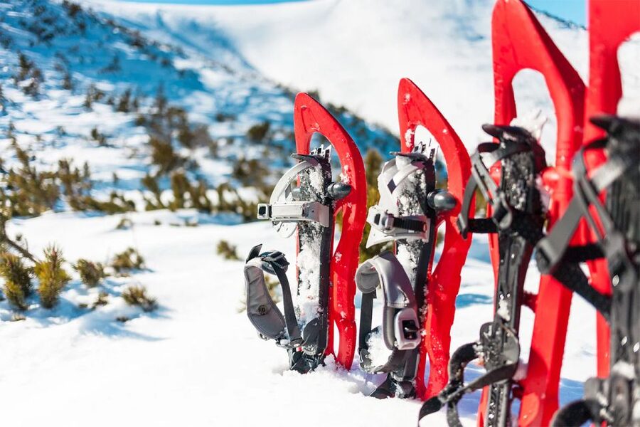 Rovaniemi: Hiking and Snowshoeing Adventure in Lapland - Why This Arctic Circle Snowshoe Hike Works So Well in Rovaniemi