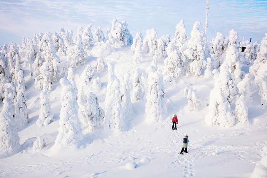 Rovaniemi: Hiking and Snowshoeing Adventure in Lapland - Gear and Warmth: The Setup That Lets You Enjoy the Hike