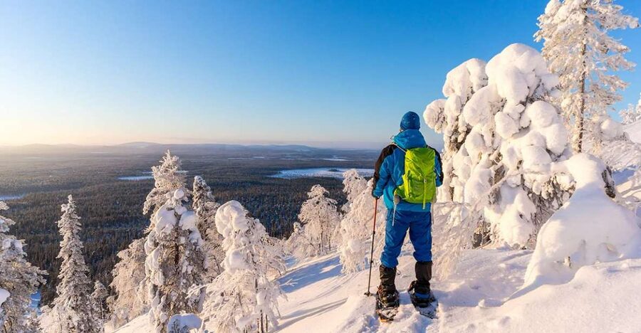 Rovaniemi: Hiking and Snowshoeing Adventure in Lapland - Who Should Book, and Who Might Want a Different Day
