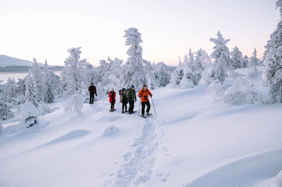 Rovaniemi: Hiking and Snowshoeing Adventure in Lapland - From Hotel Pickup to the Arctic Forest: What Happens in 3 Hours
