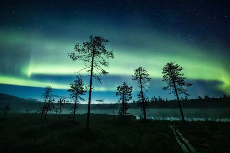 Rovaniemi: Horse Sleigh Ride under the Night Sky - Why this Rovaniemi night ride is more than “just snow”