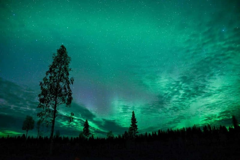 Rovaniemi: Horse Sleigh Ride under the Night Sky - The 2.5 hour sleigh ride: 3 km, slow speed, and real star time