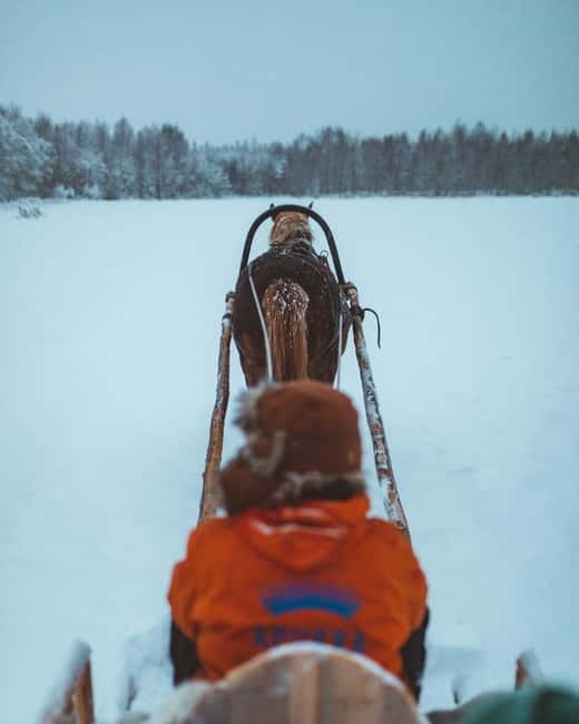 Rovaniemi: Horse Sleigh Ride under the Night Sky - The campfire stop: warmth, sausages, and a pause from the dark