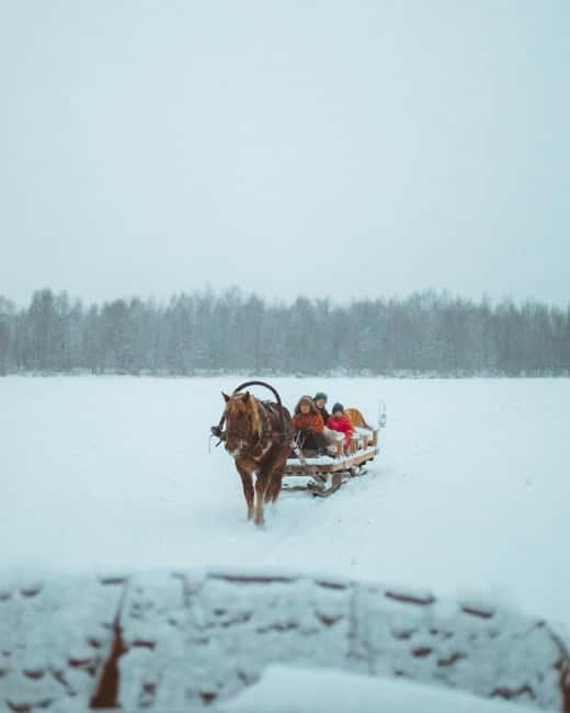 Rovaniemi: Horse Sleigh Ride under the Night Sky - Warmth and clothing: what you get, what you should still bring