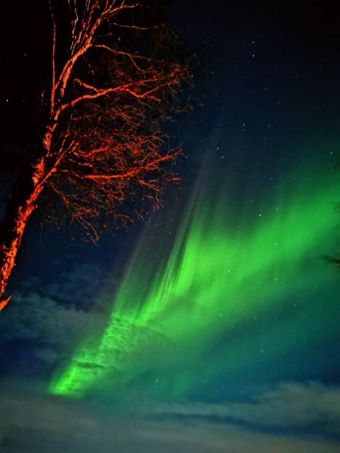 Rovaniemi Hunting Aurora at the Best Spots - Why hunting auroras north of Rovaniemi pays off