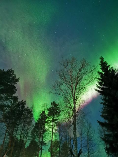 Rovaniemi Hunting Aurora at the Best Spots - What to do so you actually benefit from the aurora hunt