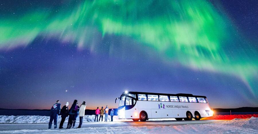 Rovaniemi: Hunting Northern Lights Bus Tour - Key things I’d bookmark before you go