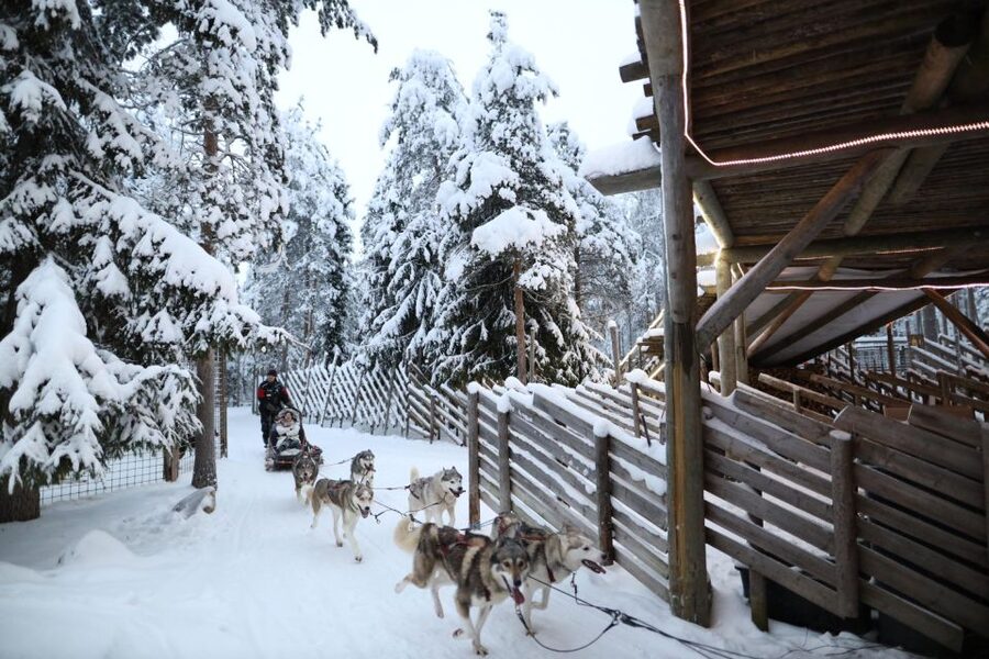 Rovaniemi: Husky and reindeer farm visit with sleigh rides - Why this 4-hour husky and reindeer combo makes sense in Rovaniemi