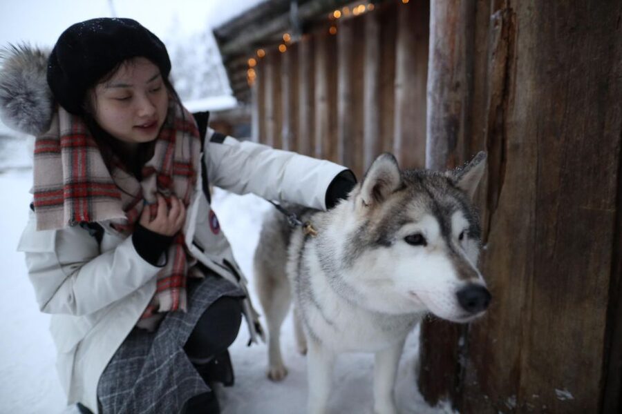 Rovaniemi: Husky and reindeer farm visit with sleigh rides - Timing matters: before 1 December, rides cost extra