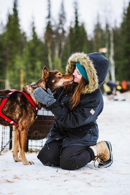 Rovaniemi: Husky and Reindeer farm with sleigh ride - Logistics that make the experience smoother in winter