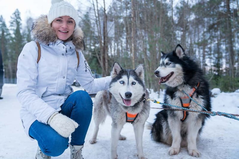 Rovaniemi: Husky Farm and Reindeer Experience - Reindeer Sleigh Ride: Short, Hands-On, and Built for Photos