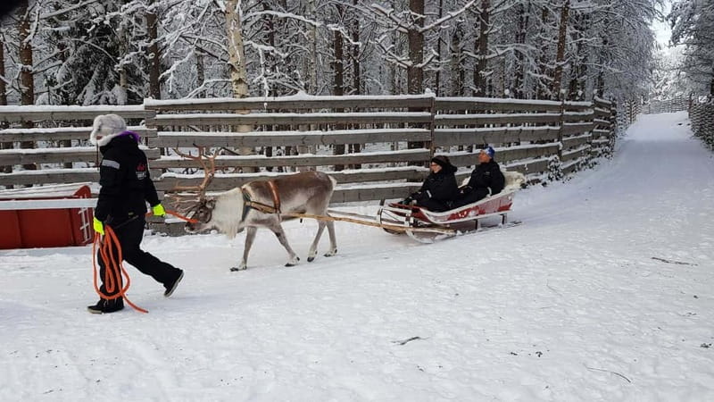 Rovaniemi: Husky Farm and Reindeer Experience - Lunch, Warm-Up Stops, and What’s Included