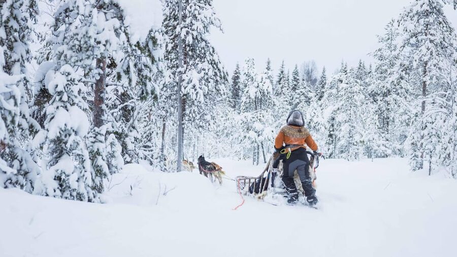 Rovaniemi: Husky Farm Visit with a Sledge Ride - Entering the husky experience from Rovaniemi, with pickup that matters