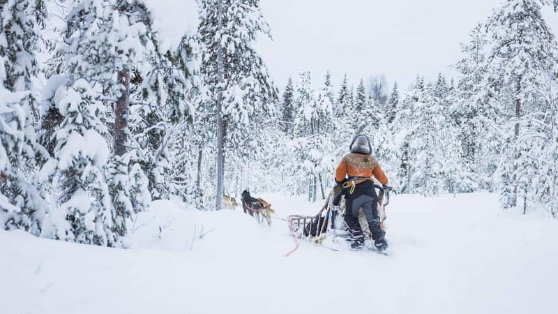 Rovaniemi: Husky & Reindeer Experience with Snowmobile Ride - Getting set up in Rovaniemi, before the snowmobile fun
